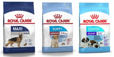 alimento para perros Royal Canin