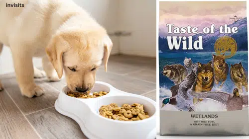 taste of the wild dog food